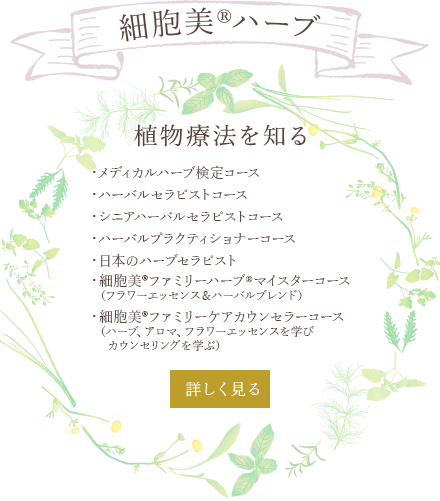 細胞美®ハーブ 植物療法を知る