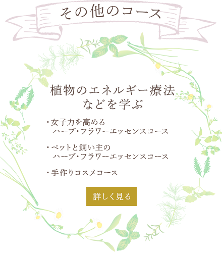 その他のコース 植物のエネルギー療法などを学ぶ