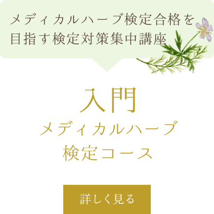 入門メディカルハーブ検定関連コース